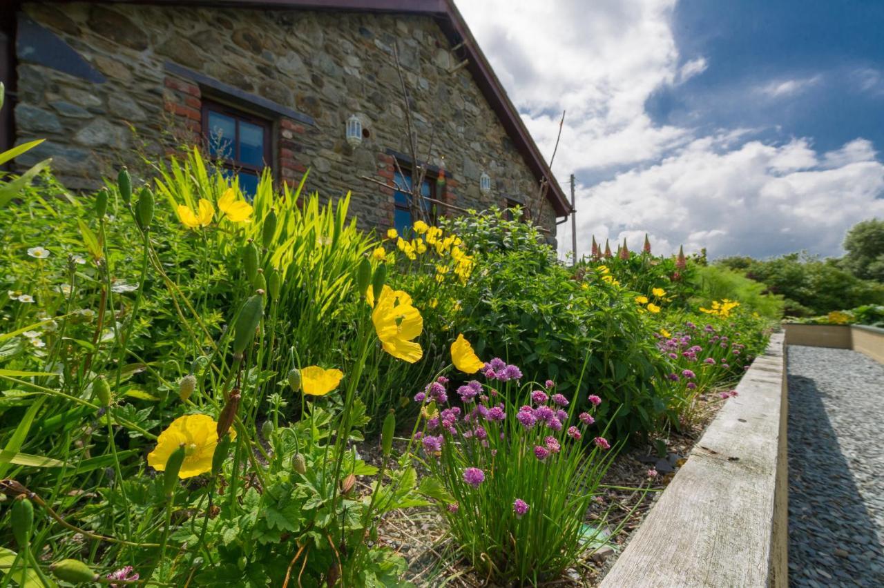 Tyn Rhos Country House Caernarfon Bagian luar foto