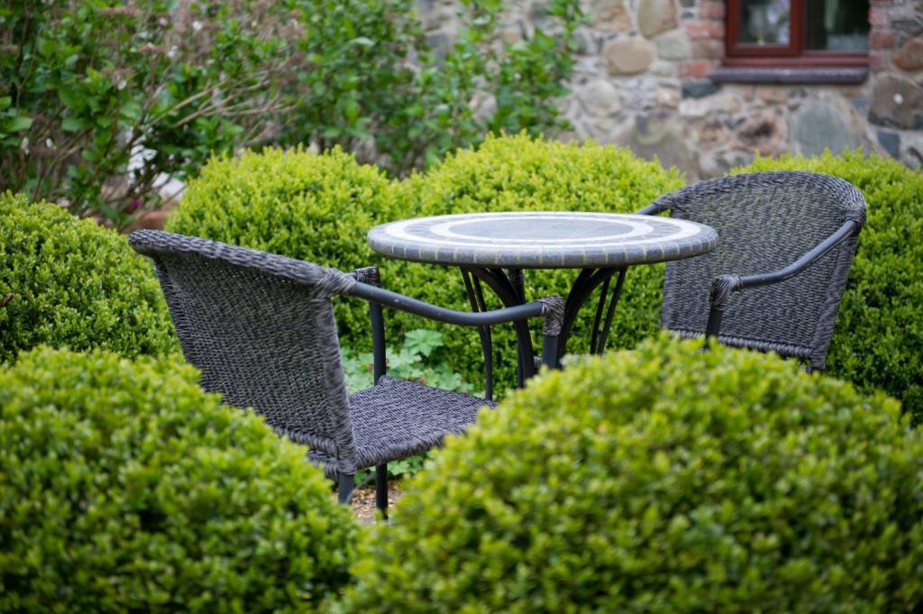 Tyn Rhos Country House Caernarfon Ruang foto